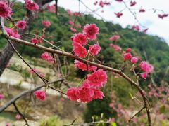 -世间香境·七溪地