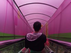 -牛鱼嘴原始生态风景区