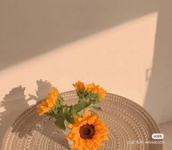 -Oasis Beauty水磨坊科技美肤中心