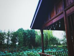 -梁鸿国家湿地公园