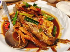 野生霞浦小杂鱼-一同楼福州菜馆(五四店)