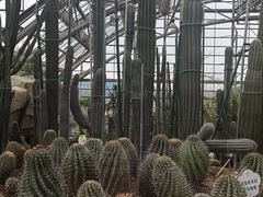 -南山植物园