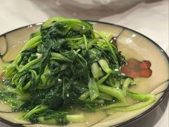 清炒鸡毛菜-三玛璐酒楼(汉口路店)