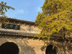 -灵谷景区