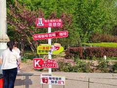 -朝阳公园游乐园