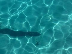 -卡帕莱度假村(西巴丹岛)