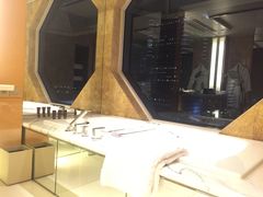 -新加坡文华东方酒店