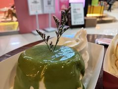 -狐狸和向日葵(北京路店)
