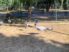-秦皇岛野生动物园