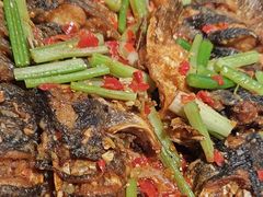 -老板恋上鱼(恒隆广场店)