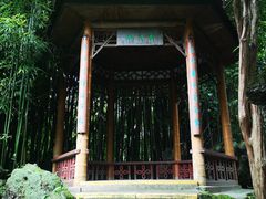 -望江楼公园