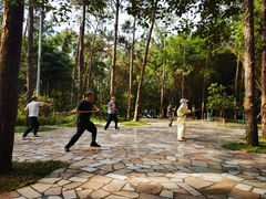 -金山植物公园