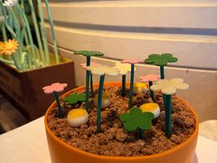 -厦门喜来登酒店