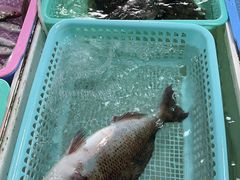 -南沙十九涌渔人码头-南门