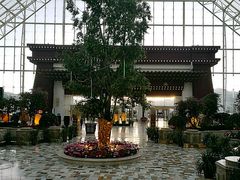 -拉萨圣地天堂洲际大饭店-自助餐厅