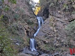 -石台牯牛降景区