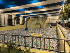 -南宫五洲植物乐园