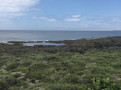 -鹅銮鼻公园