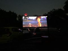 -枫花园汽车电影院(朝阳公园店)