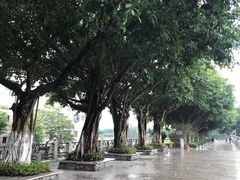 -黄埔古港