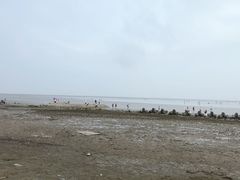 -南汇嘴观海公园