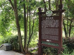 -大屏嶂森林公园