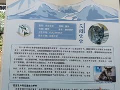-青藏高原野生动物园