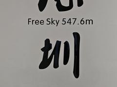 -Free Sky 云际观光层
