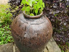 -龙坞茶村