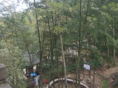 -江南天池高山汤泉城