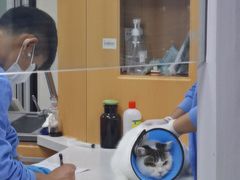 -联合动物医院(光谷诊疗中心)
