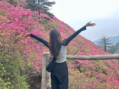 -木兰云雾山