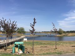 -蒲河岛湿地公园
