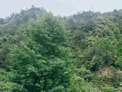 -安徽天堂寨风景区