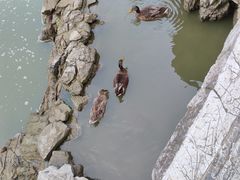 -香山公园