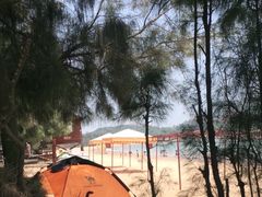 -马銮湾景区