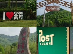 -阿露佳·舌尖上的安吉菜