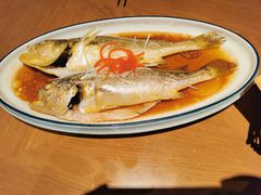-波螺油子青岛本帮菜(银座店)