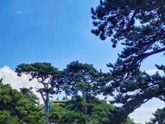-妙峰山风景名胜区