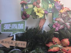 -南屏步行街
