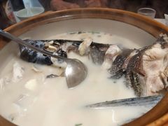 -全乐鱼馆·淳牌有机鱼直营店