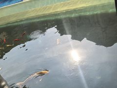 -上海星河湾酒店(闵行店)