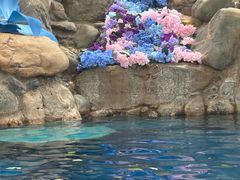 -湖泉半山温泉