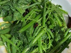 -饭饱香土碗菜(新科店)