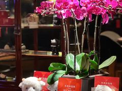 -广州花园酒店