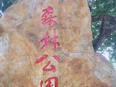 -广州市流溪河国家森林公园