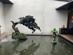 -觀芷隐轩
