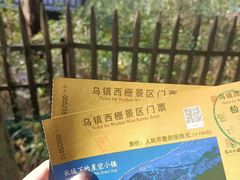 -乌镇景区