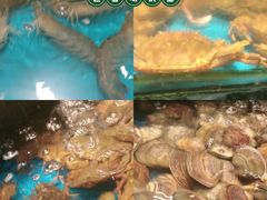 -SEA西雅图海鲜自助餐厅(海乐世界店)