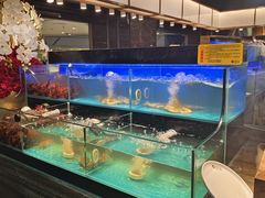 -苏格里岛自助烤肉海鲜火锅(成都金牛万达店)
